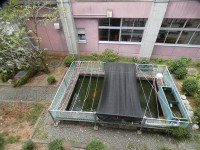 s-P1400865