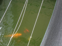 s-P1400867