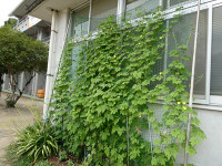 s-P1035498