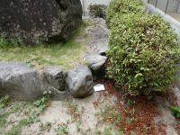 s-P1035818