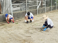 s-IMG_8040