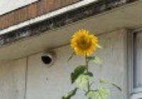 s-IMG_8083
