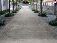 s-P1010001