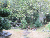 s-IMG_4284