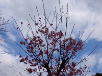 s-P3190747