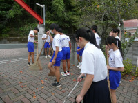 s-P1036859